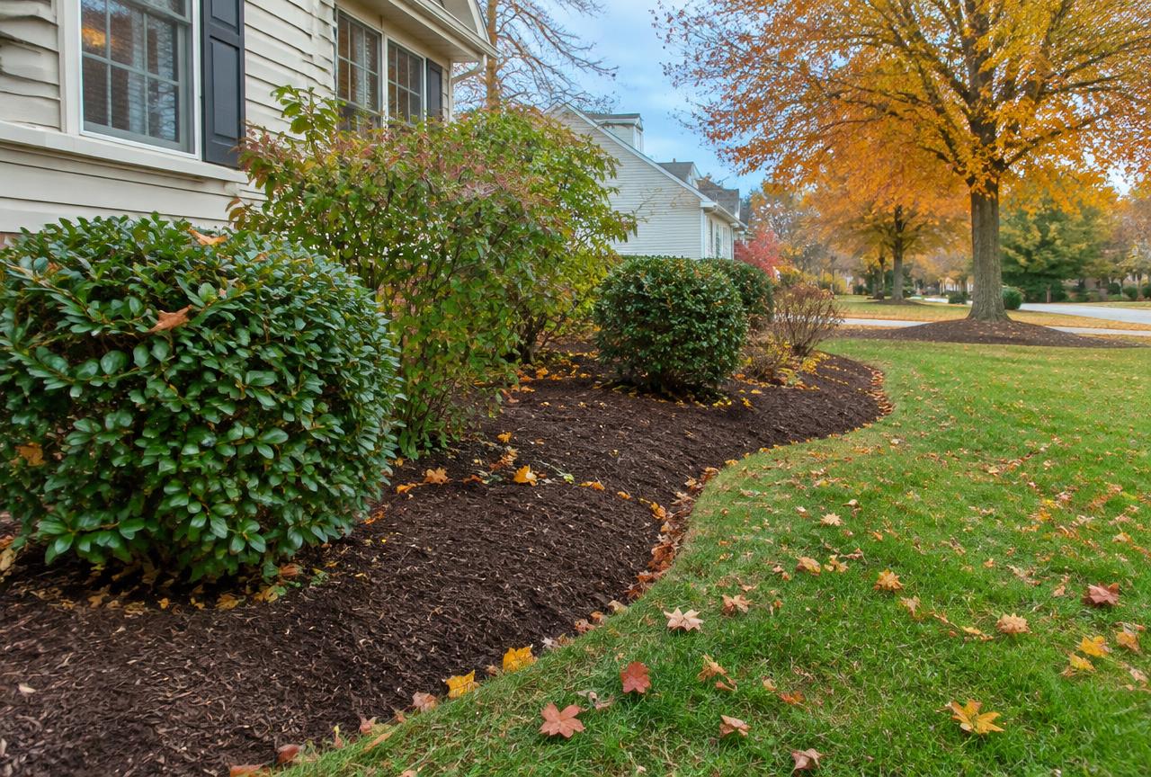 Fresh dark mulch beds with crisp edges and fall leaves on the lawn