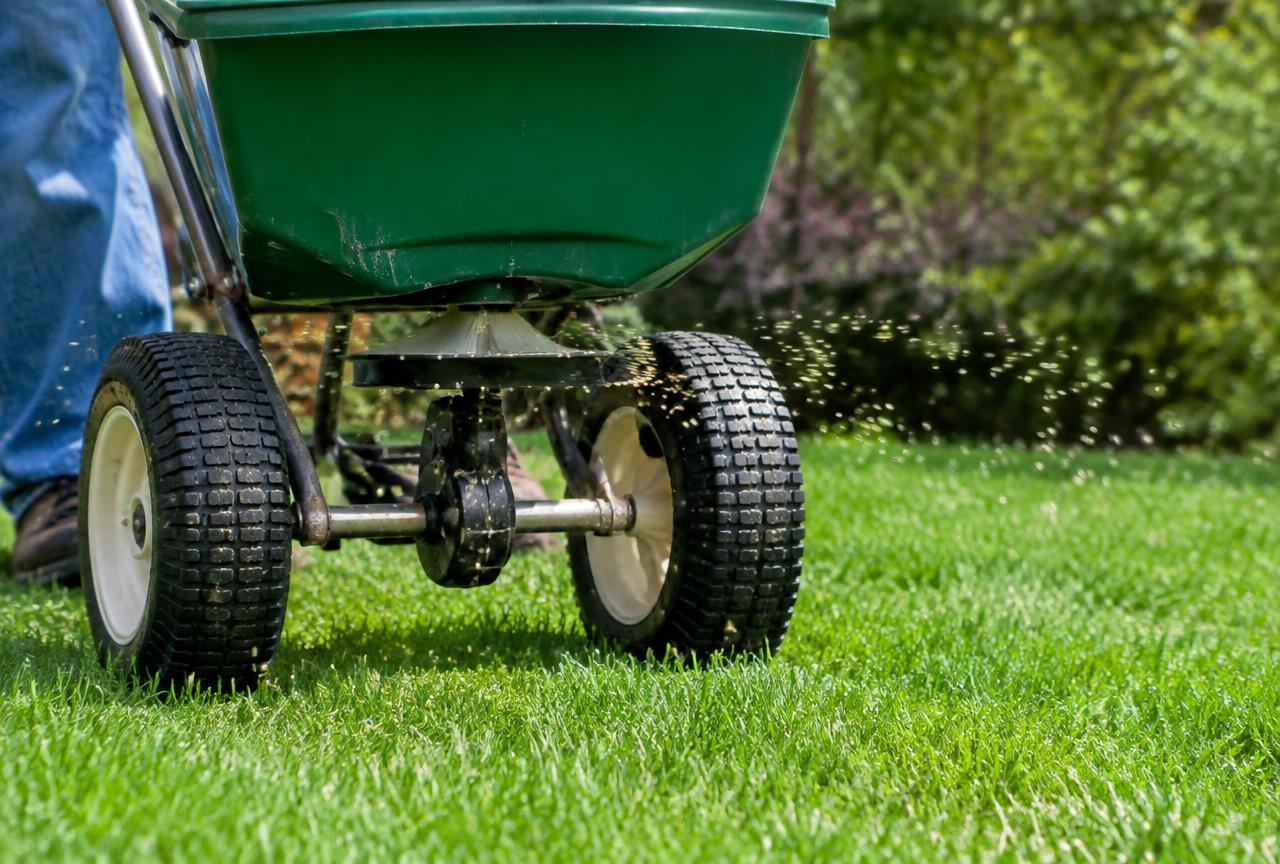 Freshly mowed striped lawn in front of a white farmhouse